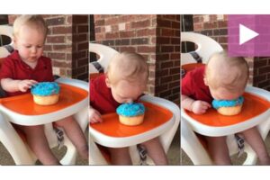 Lucu Banget! Bayi Ini Benamkan Wajahnya ke Kue Ultah