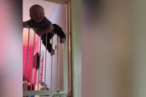 Balita Ini Panjat Pagar Pengaman Bak Spiderman