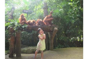 Bersafari ke Kebun Binatang di Singapura