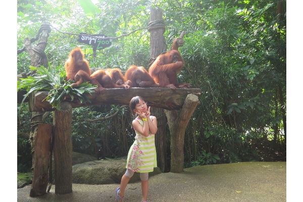 Bersafari ke Kebun Binatang di Singapura