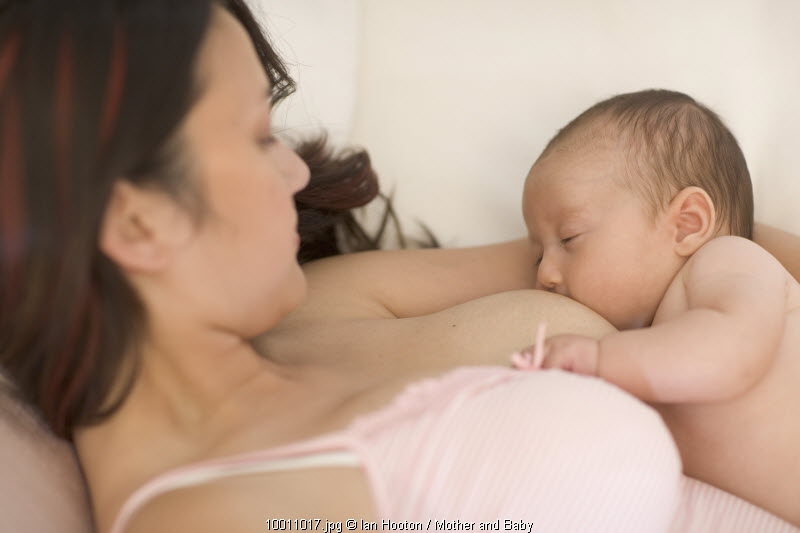 Info Lengkap Mengatasi Saluran ASI Tersumbat