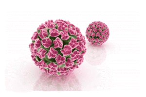 Waspadai 5 Penyakit Akibat HPV!
