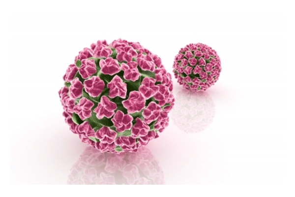 Waspadai 5 Penyakit Akibat HPV!