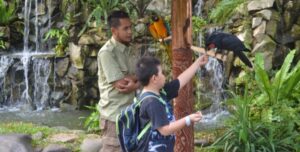 Pilihan Liburan Akhir Pekan: Fauna Land Ancol, Seru!