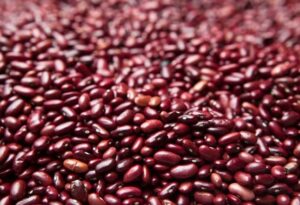 Suka Lemas? Coba Konsumsi 5 Makanan Penambah Energi Ini