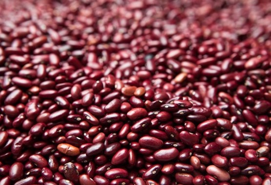 Suka Lemas? Coba Konsumsi 5 Makanan Penambah Energi Ini