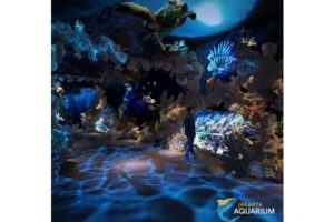 4 Pilihan Destinasi Liburan yang Wajib Anda Kunjungi