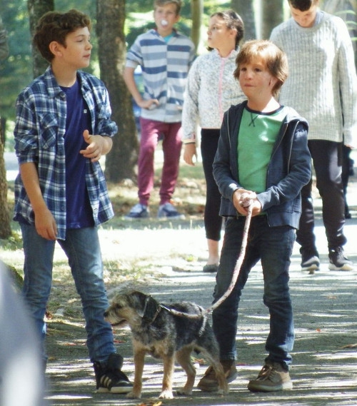 Kisah Haru Anak Berkebutuhan Khusus dalam Film ‘Wonder’