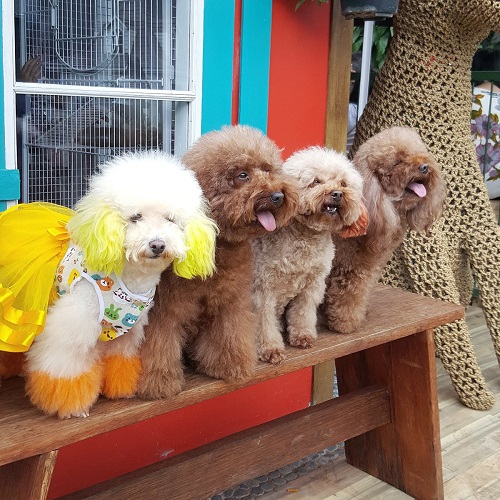 4 Restoran Ramah Anak di Bandung