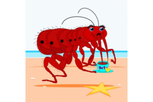 Ini Info Lengkap Mengenai Kutu Rambut