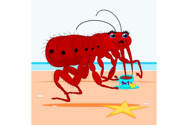 Ini Info Lengkap Mengenai Kutu Rambut