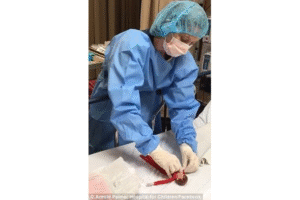 Video Viral Ibu Mengoperasi Seorang Peri Demi Anaknya