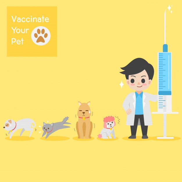 4 Cara Atasi Luka Gigitan Binatang