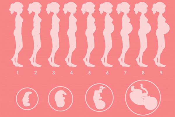 Perkembangan Janin di Kehamilan 1 Bulan