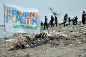 Greenpeace Ajak Bersihkan Plastik di World Cleanup Day