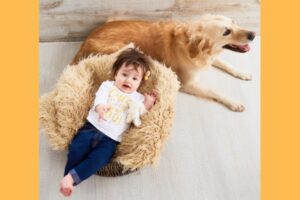 Hewan Ini Selamatkan Nyawa Seorang Bayi