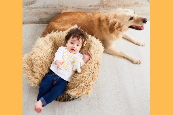 Hewan Ini Selamatkan Nyawa Seorang Bayi