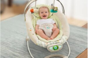 Tips Memilih Bouncer untuk Bayi