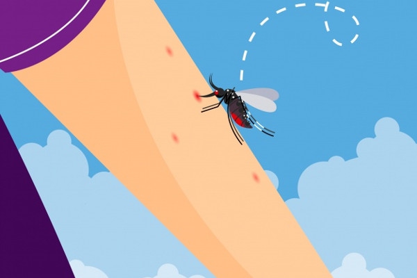 Cara Alami Mengatasi Gigitan Serangga pada Anak