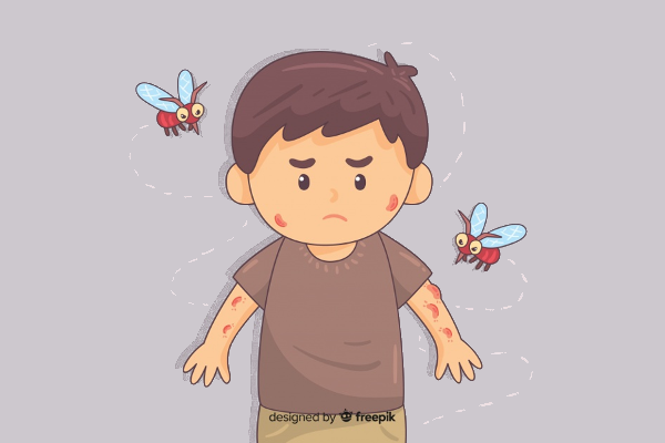 Awas Nyamuk Ganas! Ini 10 Fakta Japanese Encephalitis