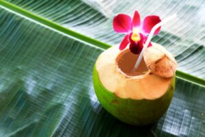 10 Manfaat Buah Kelapa bagi Kesehatan Anda