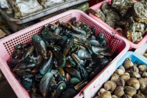 Amankah Ibu Hamil Makan Kerang? Ini Penjelasannya