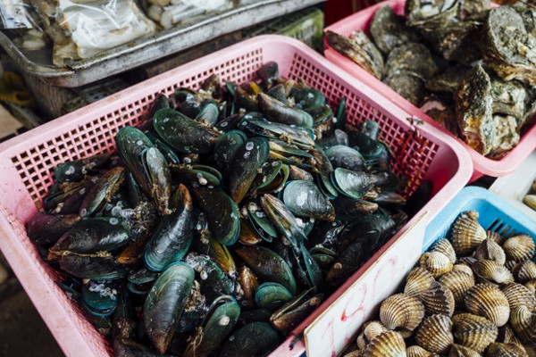 Amankah Ibu Hamil Makan Kerang? Ini Penjelasannya
