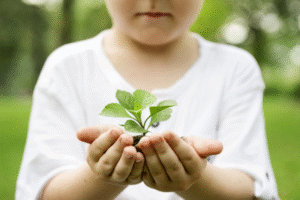 5 Aktivitas Keluarga untuk Menyelamatkan Bumi