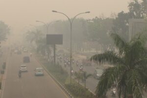 Sebaiknya Waspada! Ini Bahaya Kabut Asap buat Ibu Hamil