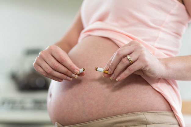 Waspada, Rokok Pengaruhi Sistem Reproduksi Janin Anda!