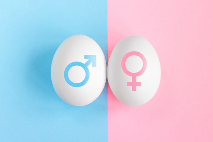 PGTA, Metode untuk Memilih Jenis Kelamin Janin