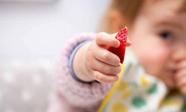12 Ide Finger Food Mudah untuk Bayi