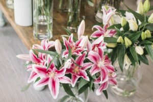 Pengharum Ruangan Alami agar Rumah Wangi saat Lebaran