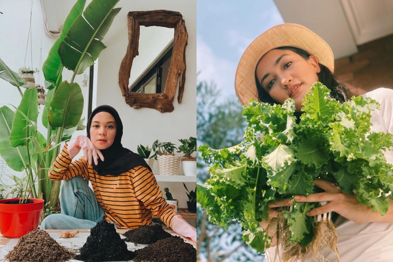 Deretan Selebriti yang Tekuni Hobi Berkebun saat Pandemi