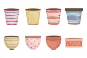 Temukan Pot Indah untuk Tanaman Anda, Ini Rekomendasinya