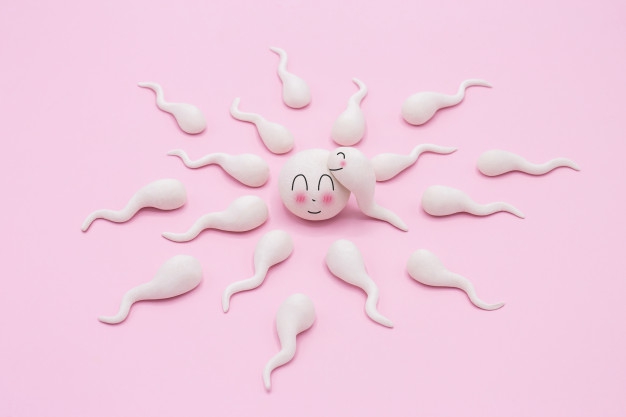 Ini 7 Tanda Ovulasi yang Tingkatkan Peluang Kehamilan