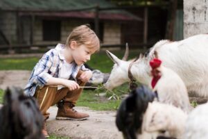 5 Cara Mudah Kenalkan Nama-nama Hewan pada Anak