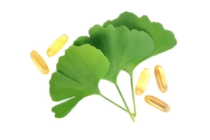 Amankah Ibu hamil dan Menyusui Mengonsumsi Ginkgo Biloba?