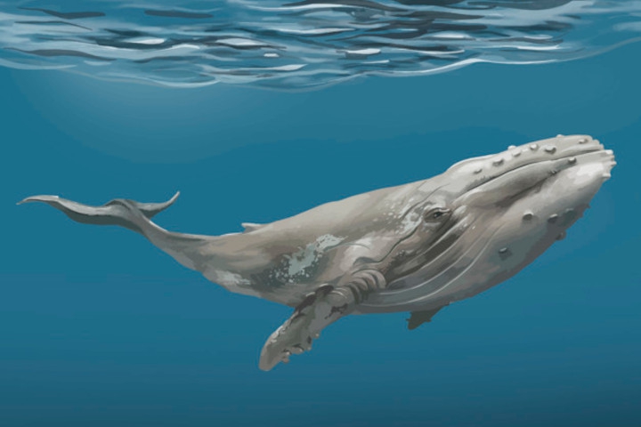 Cerita Ramadan untuk Balita: Kisah Nabi Yunus AS