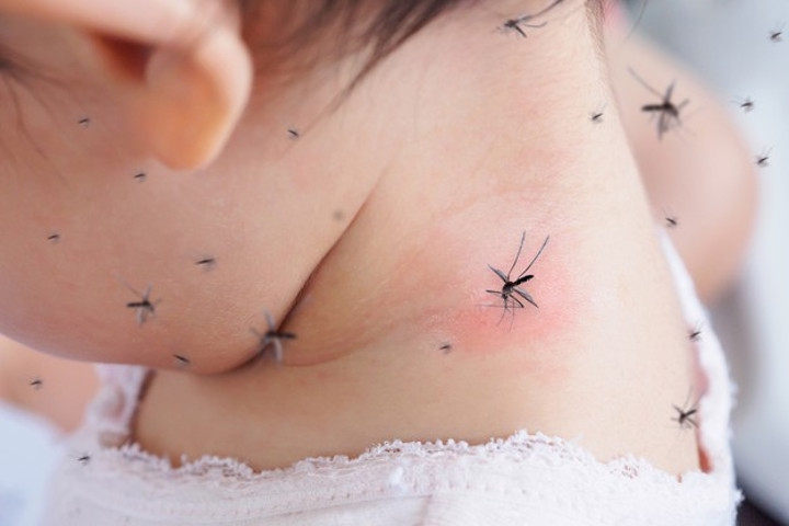 DBD Ancam Anak-anak, Ini Beda Gejalanya dengan COVID-19