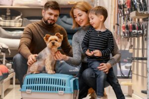 5 Rekomendasi Pet Supplies untuk Merawat Hewan Peliharaan