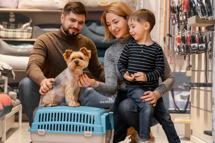 5 Rekomendasi Pet Supplies untuk Merawat Hewan Peliharaan