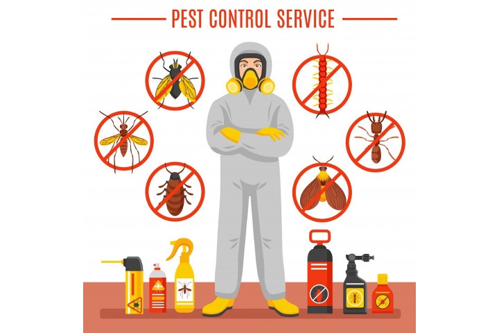 Rekomendasi Jasa Pembasmi Serangga dan Hama di Rumah Anda