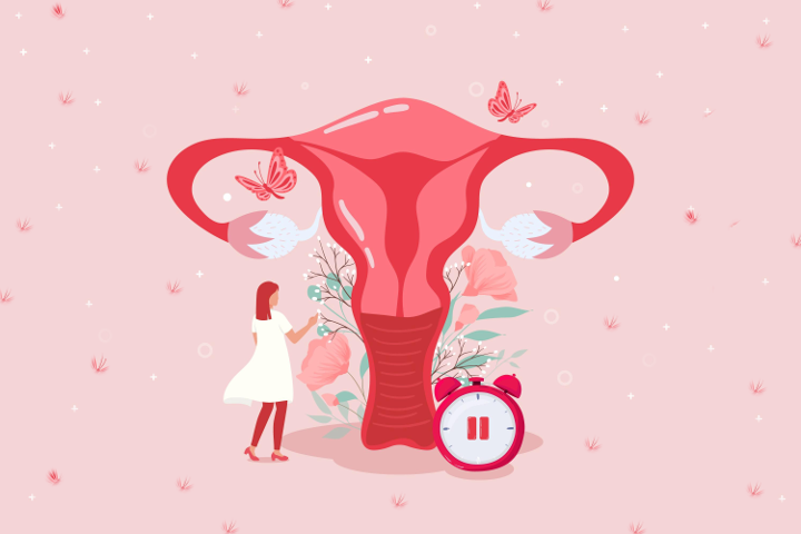 Wajib Tahu! Ini 6 Fungsi Rahim pada Wanita