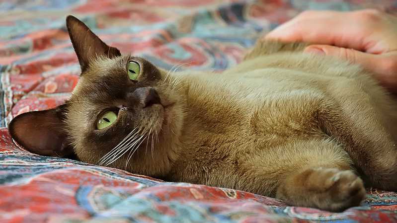 Michael Moiner/Flickr