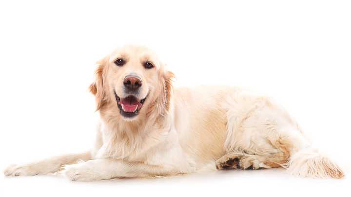 Racool_studio/Freepik