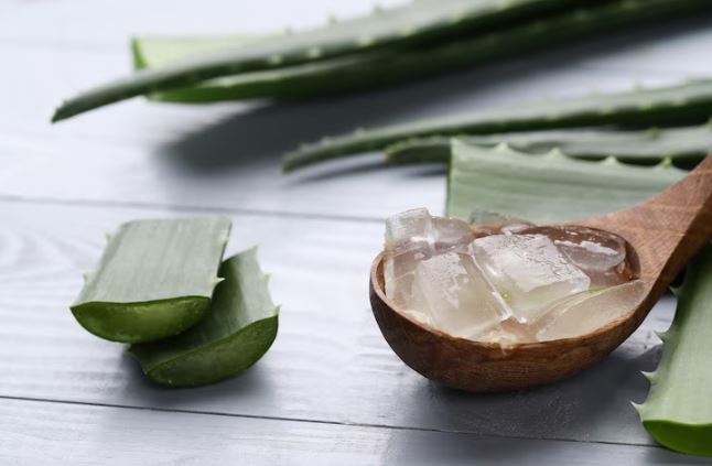 lidah buaya menghilangkan flek hitam